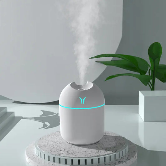 Air Humidifier Cute Aroma Diffuser